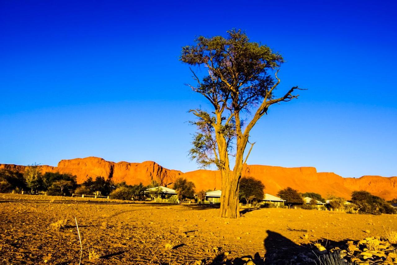 Namib Desert Campsite Solitaire Eksteriør bilde